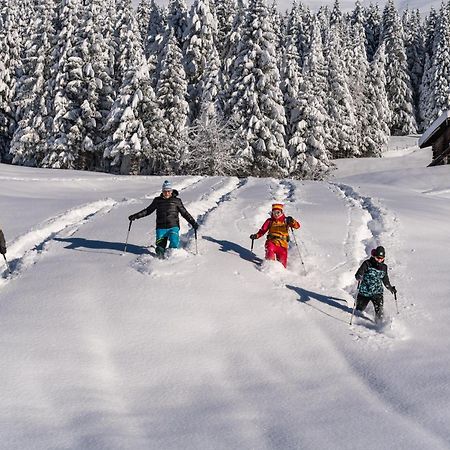 Natur-&Wanderhotel Tuxertal Eksteriør billede