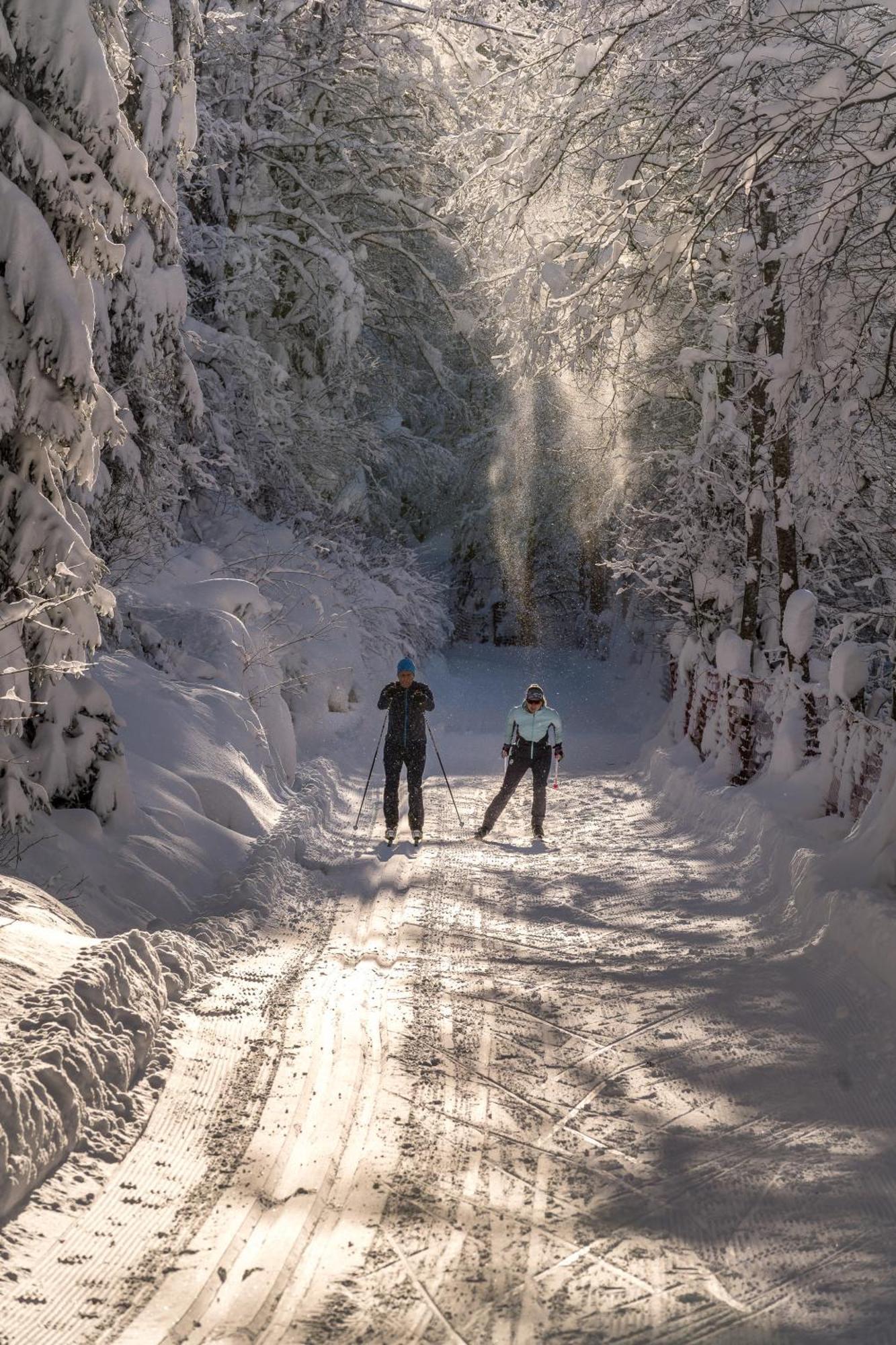 Natur-&Wanderhotel Tuxertal Eksteriør billede
